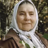 «Деревья на асфальте»