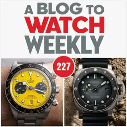 227 - What Makes A Watch Brand Independent, Tudor Bumblebee, And Panerai Plays It Safe
