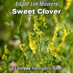 Sweet Clover