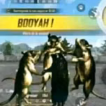 sopedrada2