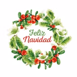 Rayoransno navidad
