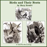Birds and Their Nests by Mary Howitt (1799 - 1888)