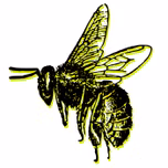 Hive Lounge