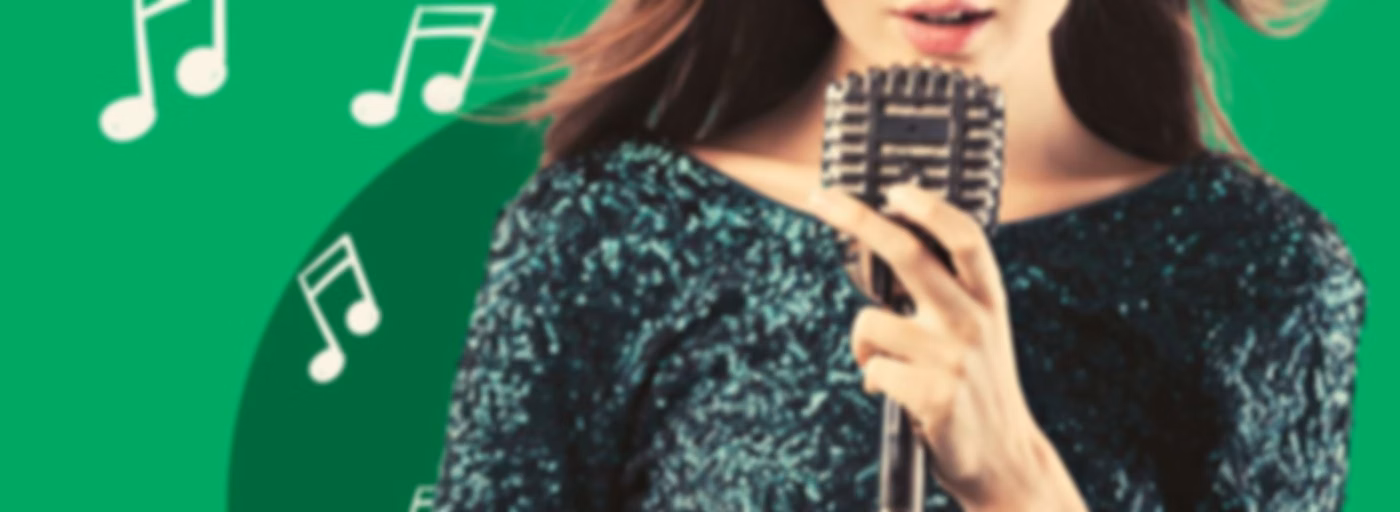 De Kettingreactie: Singer-Songwriter