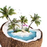 Island Vibes
