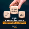 ESG: a importância dos créditos de carbono