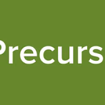 Reunion_Precursores_2021
