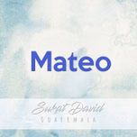Mateo verso por verso