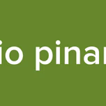 radio pinamar