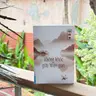 Không khóc giữa nhân gian - Vì ta học được cách đi qua nỗi buồn