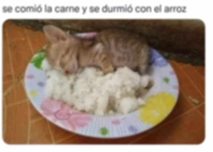 Merengue