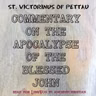 Chapters 17,19,20-22