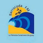 BARRACUDA FM