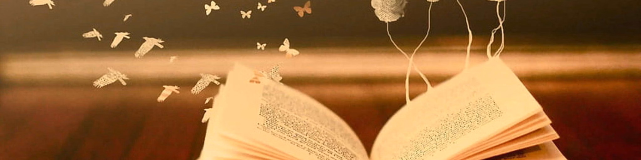 Rádio Literatura