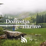 Vlasto Kopač - načrtovalec in varuh Velike planine