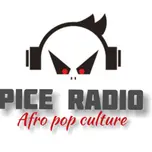 PICE RADIO