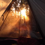 Nature Ambient