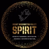 Paranormal Investigation Integrity