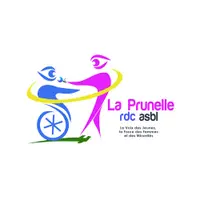 La Prunelle FM Bukavu- 100.9 MHz