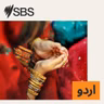 مختصر خبریں : پیر 03 اگست 2026
