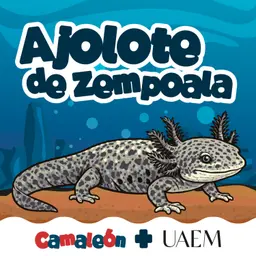 Ajolote de Zempoala: Vivir sin cambiar… y funcionar