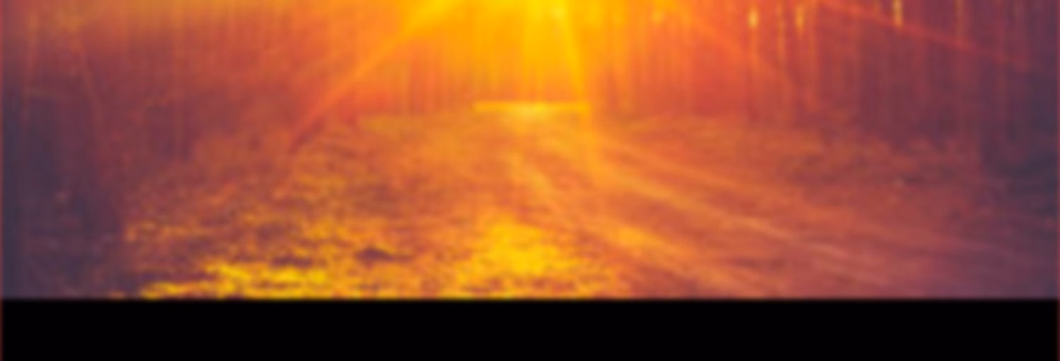 Audio:The Revolt Against God + NEWS/VIEWS/NOVELS