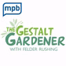 The Gestalt Gardener | Fantastic Fruits and Where to Grow Them