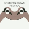 Southern Brown Tree Frog | Week of July 13th