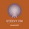 Les Infos - Steevy FM 2025-10-12 09:58