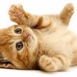 KITTI RADIO