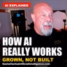 How AI really works, it was grown not made and that should give you a wierd feeling