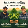 Hampaodling för småbrukare: Expertguide med Adel Malouf och Jukka Lindholm