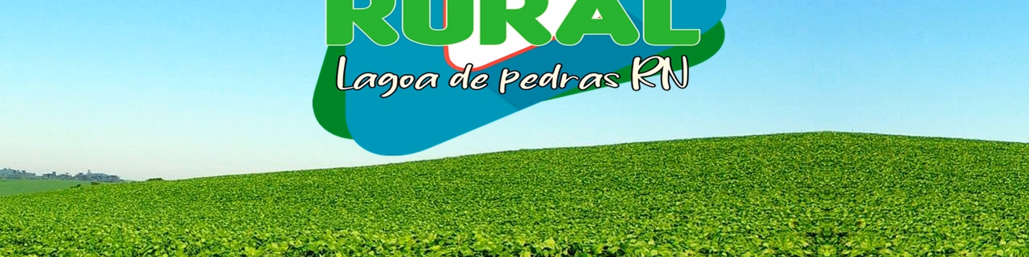 radio pedro do forro