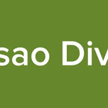 Missao Divina