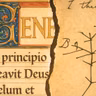 Creation vs. Evolution: Re-evaluating a Catholic Dilemma