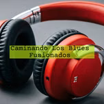 Caminando Los Blues / Fusionados