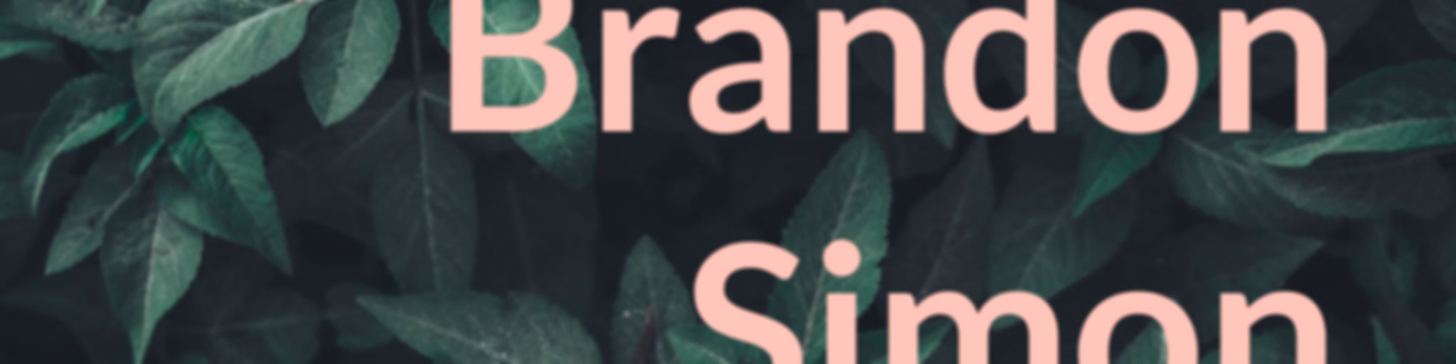 Brandon Simon