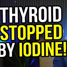 Why Your Thyroid Stops Working When You Get Too Much Iodine
