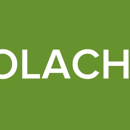 BOLACHA