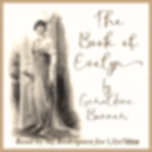 Book of Evelyn, The by  Geraldine Bonner (1870 - 1930)