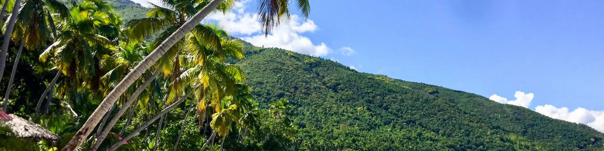 Haiti Beat