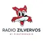 Radio Zilvervos