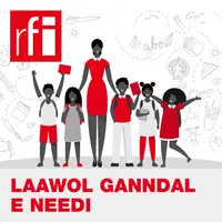 Laawol ganndal e needi
