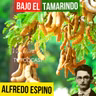 BAJO EL TAMARINDO ALFREDO ESPINO 👨‍🌾🫒 | Jícaras Tristes Auras del Bohío 🍯 | Alfredo Espino Poemas