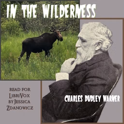 In the Wilderness (Version 2)
