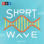 Short Wave