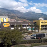 LuzDeVida