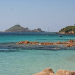 Plage Vibes