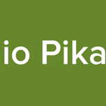 Radio Pikachu