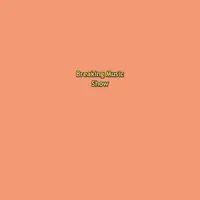 Breaking Music Show